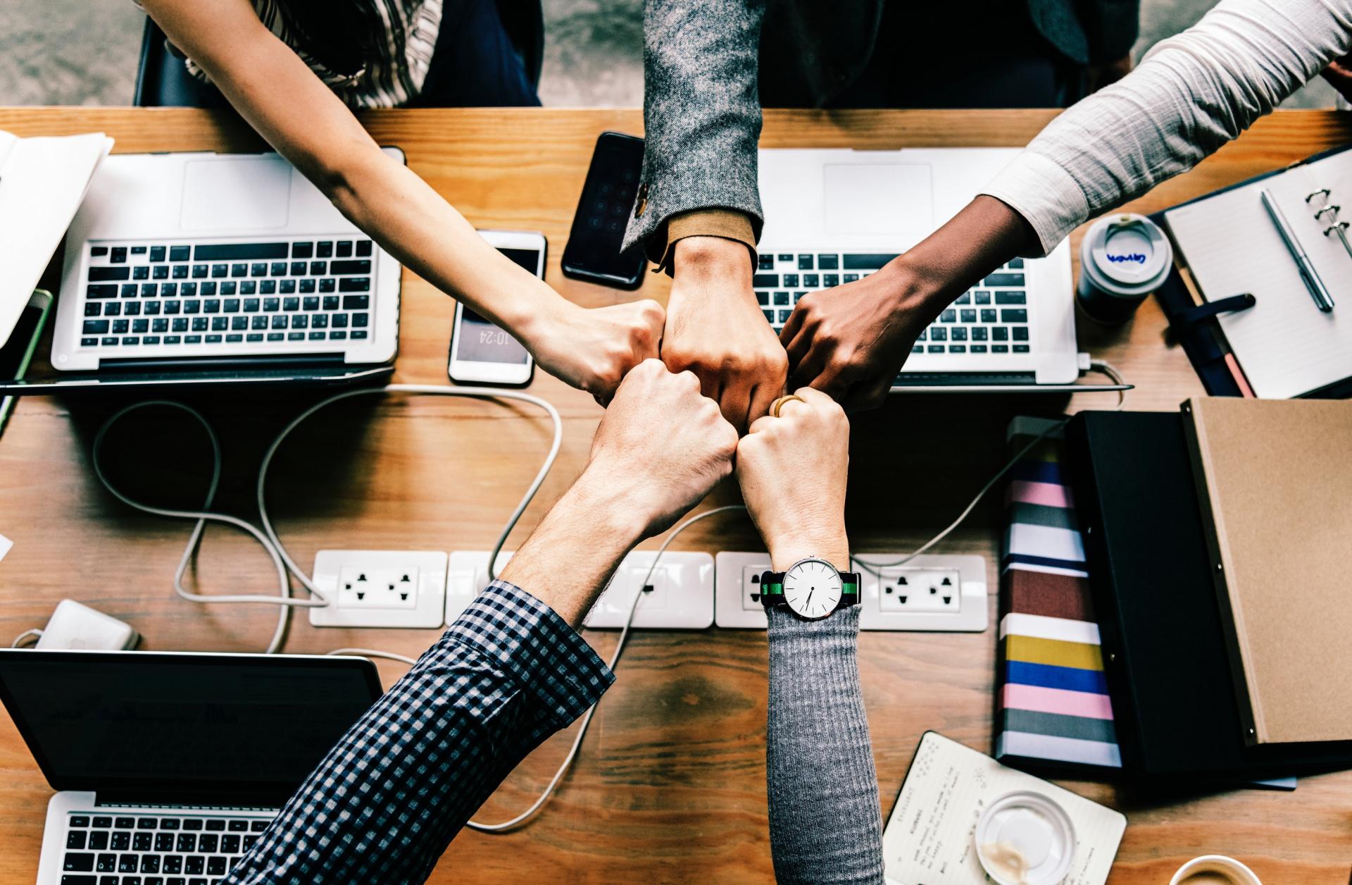 Digital Export Manager di Socialsurf